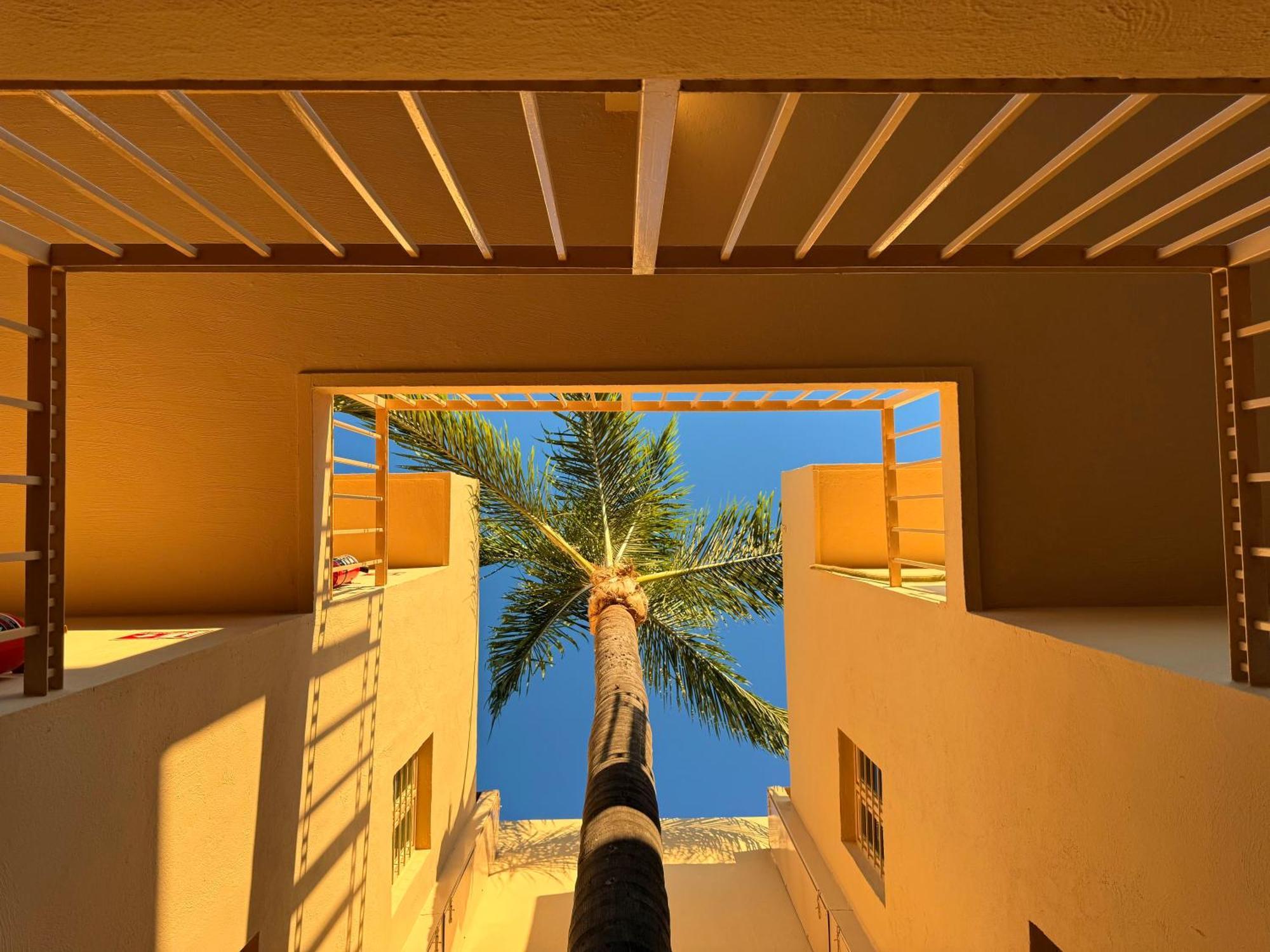Villa La Palma Hotel Tequila Eksteriør bilde